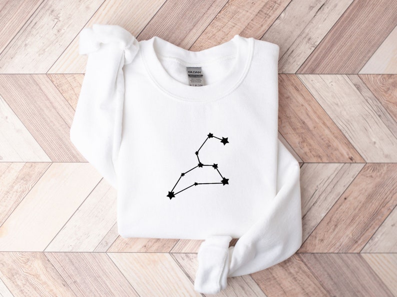 Leo Embroidered Zodiac Sweatshirt Constellation Sweater, Horoscope Sweatshirt, Zodiac Birthday, Taurus Gemini Cancer Virgo Aquarius Pisces