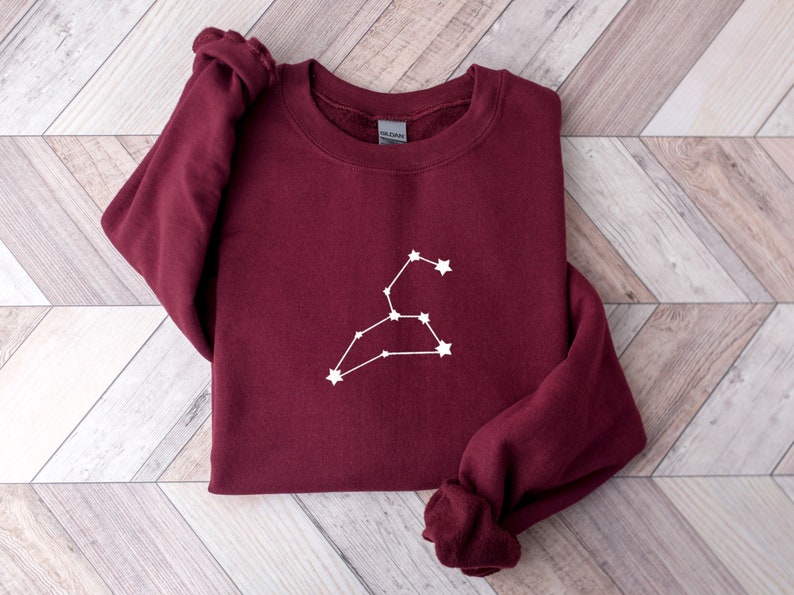 Leo Embroidered Zodiac Sweatshirt Constellation Sweater, Horoscope Sweatshirt, Zodiac Birthday, Taurus Gemini Cancer Virgo Aquarius Pisces