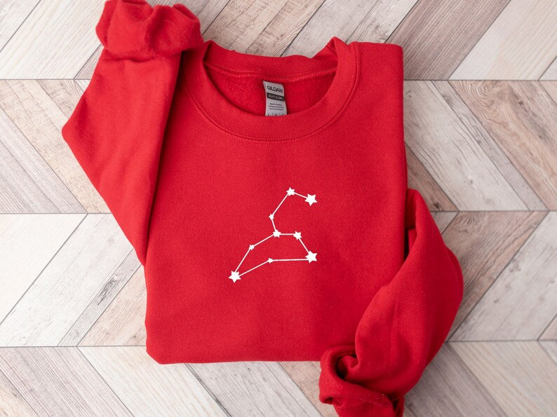 Leo Embroidered Zodiac Sweatshirt Constellation Sweater, Horoscope Sweatshirt, Zodiac Birthday, Taurus Gemini Cancer Virgo Aquarius Pisces