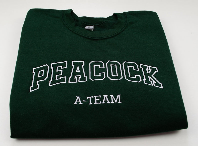 Custom Embroidered Sweatshirt, Varsity Crewneck, College Letters Sweater, Retro Sweatshirt, Name on Sleeves, Personalized Crewneck
