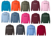 School Spirit Applique Sweatshirt | Custom School Embroidered Applique Hoodie | Youth or Adult School | Spirit Sweatshirt | Qtr Zip